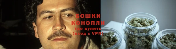 каннабис Аркадак