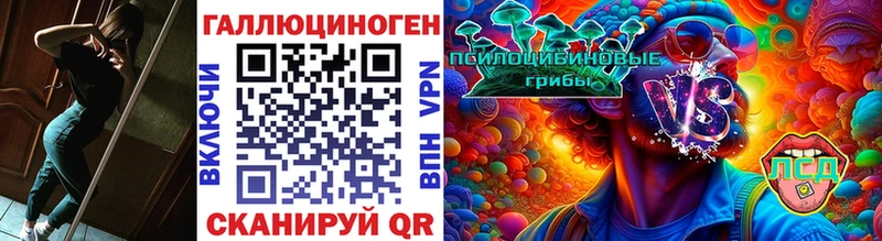 купить наркоту  Сергач  Галлюциногенные грибы Psilocybe 